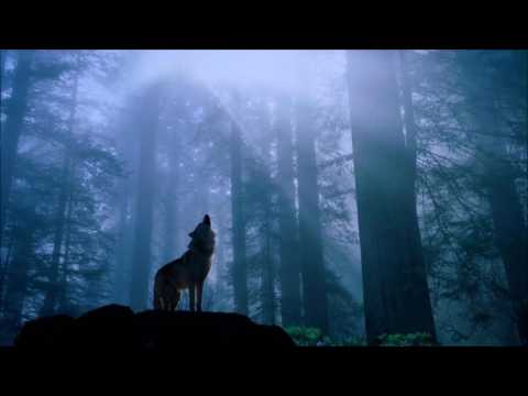 Native American Flute & Guitar Album