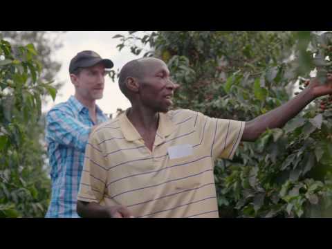 Café Campos - Incrível Quênia, Naturalmente Projetado para a Grandeza