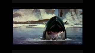 "Orca"  By Ennio Morricone