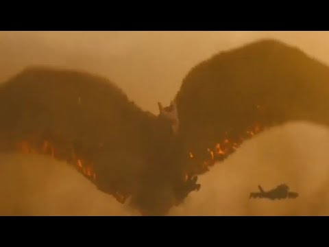 One King to rule them all.