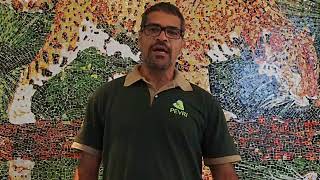 Miniatura do vídeo