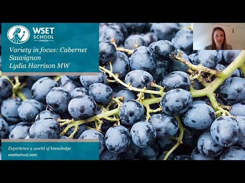 Variety in Focus: Cabernet Sauvignon with Lydia Harrison MW