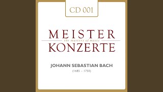 Heartbeat In The Night