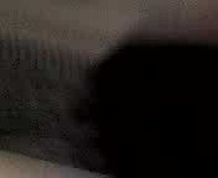 cierre mission 439- by Deub