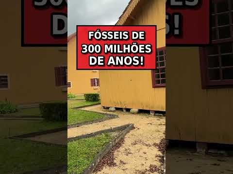 Dois mistérios unem uma cidade: Alfredo Wagner. ￼ Descubra no nosso vídeo relacionado!