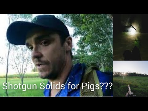 SHOTGUN SLUGS and CANE PIGS, Pigging Australian Crops