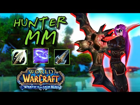 MM Hunter PvP +2700 - Wotlk Classic