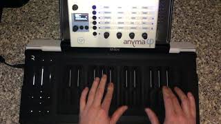 超レア！Aodyo Anyma Phi フィジカルモデリングシンセサイザー 超レア！Aodyo Anyma Phi フィジカルモデリングシンセサイザー 【公式
