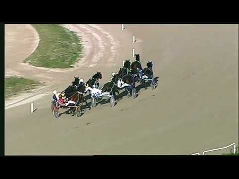 Napoli Trotto 13/11/2022 - 2ª corsa