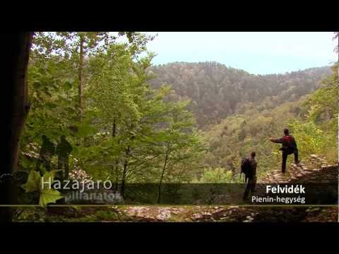 Hazajáró pillanatok - Pieninek