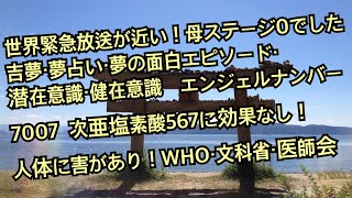 世界緊急放送が近い 母はステージ0でした 吉夢 夢占い 夢の面白エピソード 潜在意識 健在意識のお話 エンジェルナンバー7007 次亜塩素酸567に効果なし 人体に害があり Who 文科省 医師会 موقع ويب حيث يمكنك مشاهدة مقاطع فيديو موسيقية مجانية
