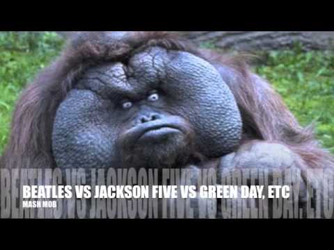 MASHUP: Beatles Vs Jackson Five  Vs Green Day + More | (Mash Mob)