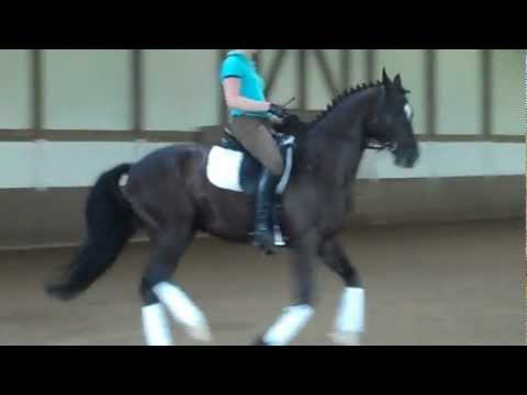 Lackschwarzer Strahlemann