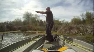 preview picture of video '3/8/14_Spring Lake Flipping_2 lbs & 1lb 12oz_Trokar_Wright & McGill_Eagle Claw'