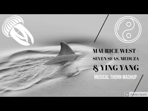 MAURICE WEST - SEVEN SEAS, MEDUZA & YING YANG (MUSICAL THORN MASHUP)