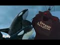 Killer Whales Happy Feet Vs Bear Fox And The Hound
