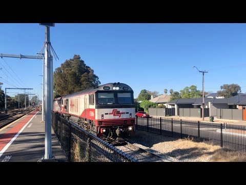 SCT Freight - 2MP9 - CSR006, SCT011, SCT009, CSR019