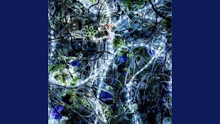 Re: [閒聊] Aimer 要聽哪首才是懂聽