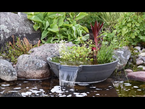 Stig tipsar: Minidamm med vattenfall