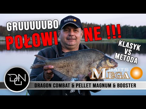 GRUUUUUBO POŁOWIONE !!! FEEDER & METHOD FEEDER. ZANĘTY, PELLETY MAGNUM. MARCIN NOWAK & MICHAŁ GAŁEK