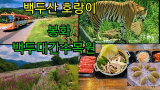 백두산 호랑이가 사는 백두대간수목원 - 아시아 최고의 수목원