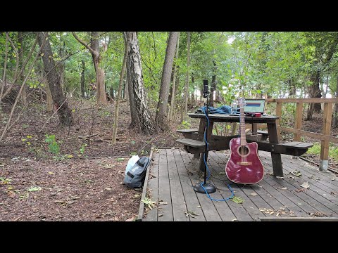 Birch - Entrøpy (Live From The Bishop's Grounds) [Official Video]