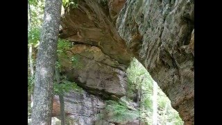 Out Of The Depths I Cry To Thee