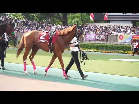 目黒記念2019☆アドマイヤエイカンラストラン