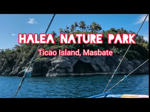 We Found This Island in Masbate! 😲#travel #nature #masbate #philippines #beach #island
