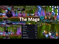 Darkrise Builds The Mage