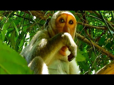 pity! Jinx is cries and clean her tear when her mom goes out without to gives her drink, and hard t