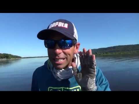 Iaconelli: listen to the slop to find active grass mats