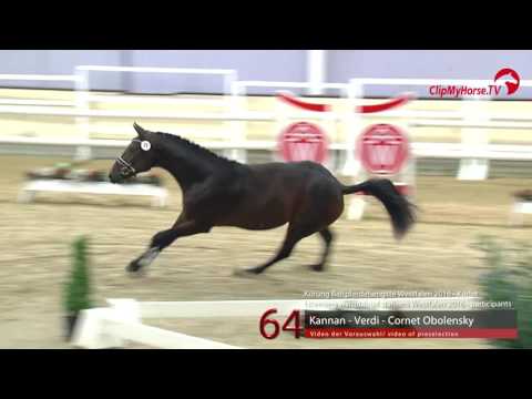 64  Kannan - Verdi - Cornet Obolensky