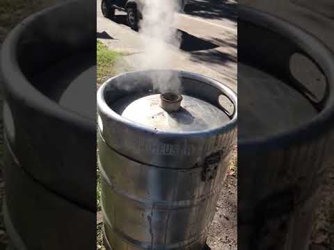 download lagu mp3 mp4 Salty Dog Peanuts, download lagu Salty Dog Peanuts gratis, unduh video klip Salty Dog Peanuts