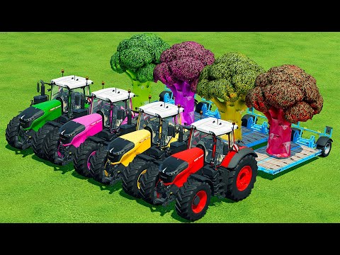 TRANSPORT GIANT BROCCOLI WITH FENDT TRACTORS - Farming Simulator 22