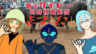 (Vtuber)怪人 仮面超人カルパの闘牛ワイドー【１～３話】同時視聴配信コラボ配信