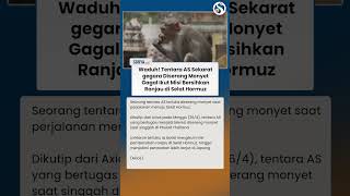 TENTARA AS SEKARAT gegara Diserang Monyet, Gagal Ikut Bersihkan Ranjau di Selat Hormuz