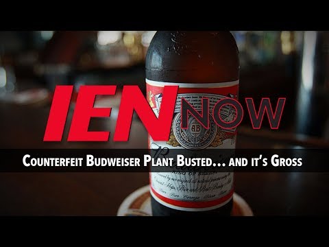 IEN NOW: Counterfeit Budweiser Plant Busted… and it’s Gross
