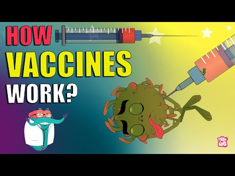 How Vaccines Work? | VACCINATION | Importance Of Vaccine | The Dr Binocs Show | Peekaboo Kidz