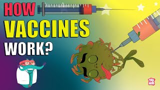How Vaccines Work?  VACCINATION  Importance Of Vac