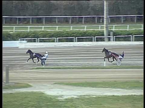 Trotto 21/04/2017 - prova di qualifica