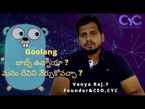Goolang జాబ్స్ ఉన్నాయా ?మనం దేనిని నేర్చుకోవచ్చా ?|golang scope in india|Vanya Raj|CYC