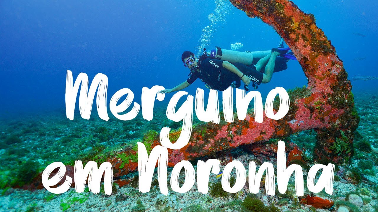 Mergulhando em Fernando de Noronha com a Bonitour | 4K Video facade placeholder