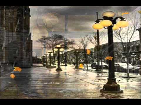 Rồi một ngày Sheet - Lâm Dung