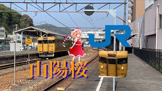 山陽線×千本桜  山陽桜