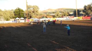 preview picture of video 'Donkey Derby Race in The Dalles, Oregon Rodeo'