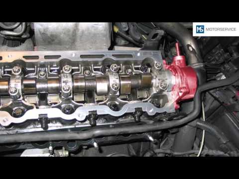 Vacuum pumps -- Basic information - Motorservice Group