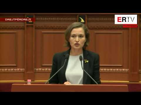 “Gjuhës Shqipe i mungojnë shumë fjalë”, Shahini: Duhen përafrime intelektuale me Kosovën