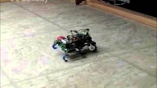 Download the video "Precise Dynamic Turning of a 10 cm Legged Robot on a Low Friction Surface Using a Tail"