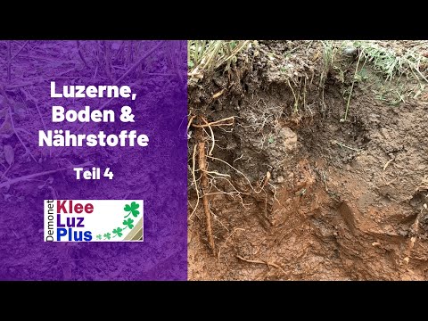 Luzerne, Boden & Nährstoffe - Teil 4